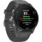 Смарт-годинник Garmin Forerunner 255 Slate Gray (010-02641-00/10/43)