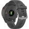 Смарт-годинник Garmin Forerunner 255 Slate Gray (010-02641-00/10/43)