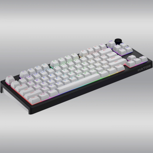 Клавіатура HATOR Skyfall 80 wireless (HTK3180) black-white, US layout