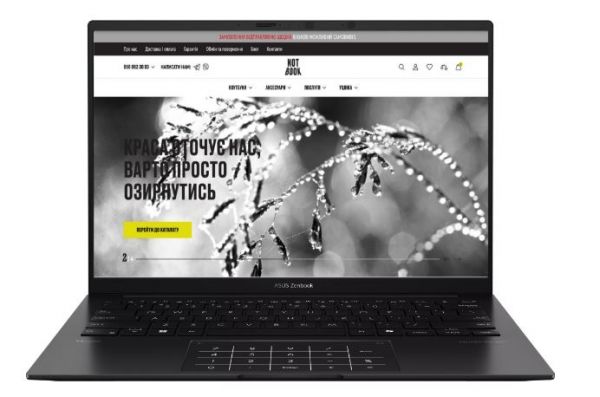 Ноутбук Asus ZenBook 14 UM3406KA (UM3406KA-WS79T) Jade Black