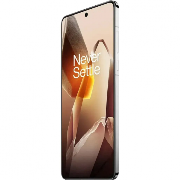 Смартфон OnePlus 13 12/256GB Arctic Dawn (Global Version)