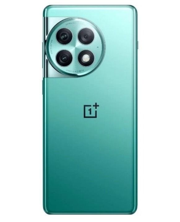 Смартфон OnePlus Ace 2 Pro 12/256GB Aurora Green
