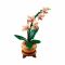 Блоковий конструктор LEGO Botanicals Міні орхідея 274 деталі (10343)