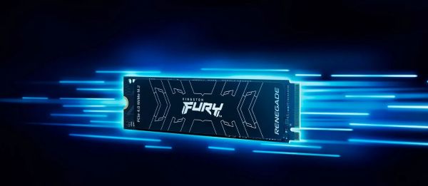 SSD накопичувач Kingston FURY Renegade 1 TB (SFYRS/1000G)